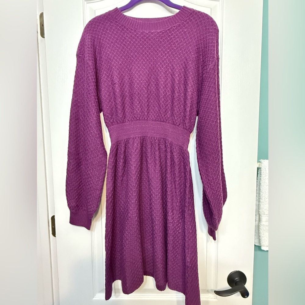 Women’s Plum Knit Winter Dress